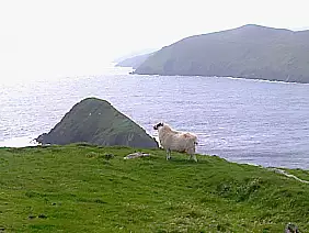 bunratty-castle-folk-park-ag4pc