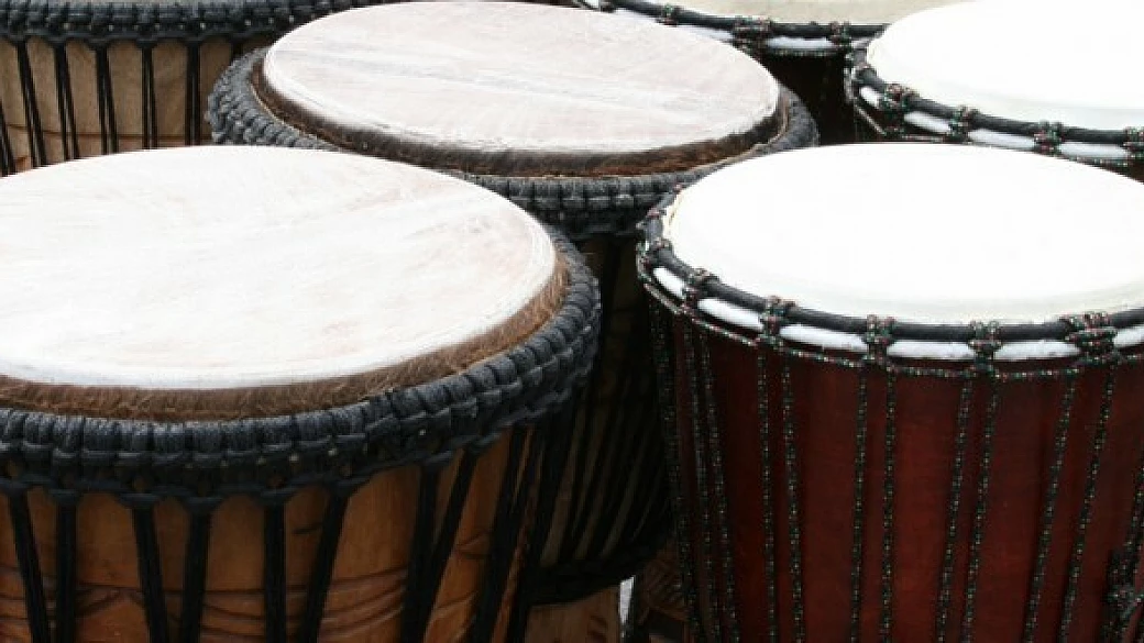 tam-tam festival, l'imminente nuova iniziativa di terrapatria