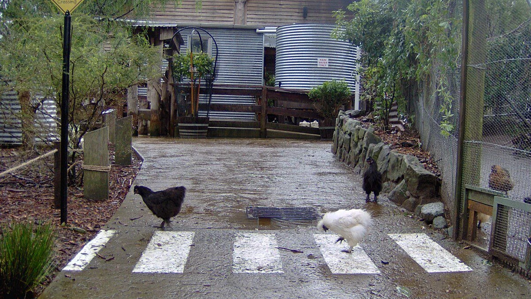 la nostra australia 2