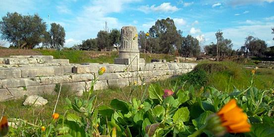 ruderi del tempio ionico di marasà nell’area archeologica di locri epizephiri. di costa calabra in bicicletta.