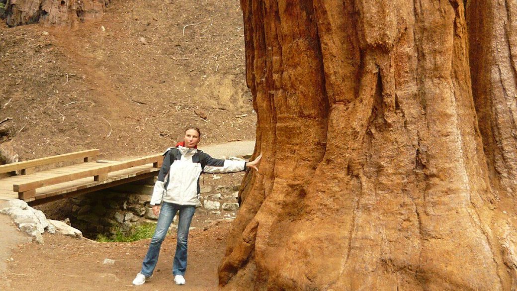 il nostro sogno americano on the road