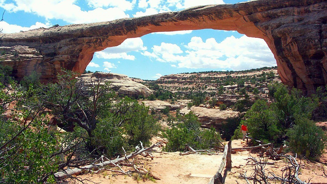 stati uniti d'america tra california meridionale e sud ovest