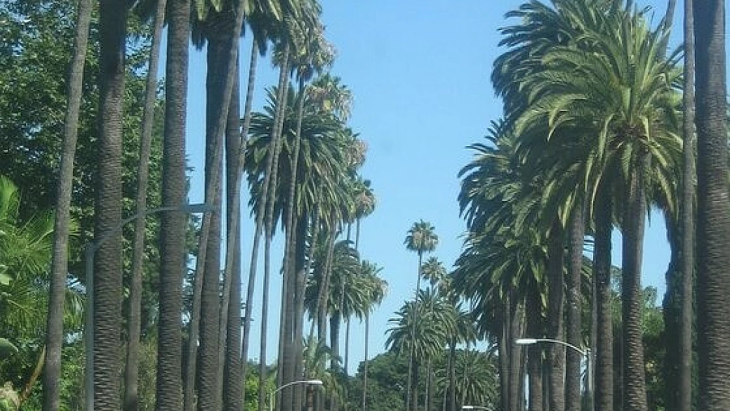 sognando la california 3