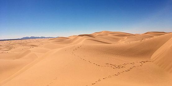 imperial sand dunes - california