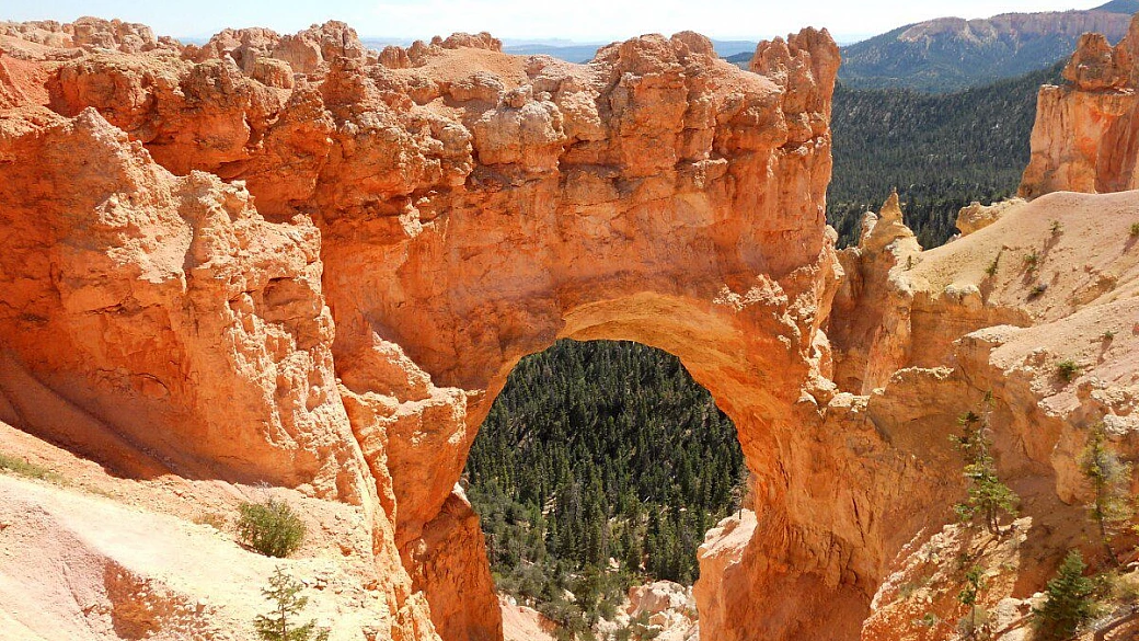 alla conquista del far di south west