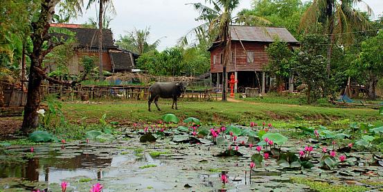 saigon, il delta del mekong e cambogia