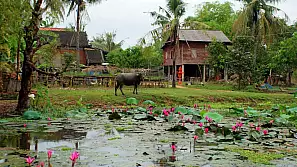 saigon, il delta del mekong e cambogia