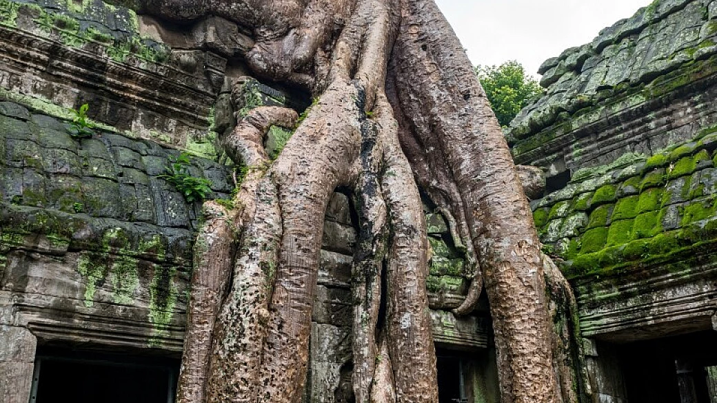 vietnam e cambogia fai da te