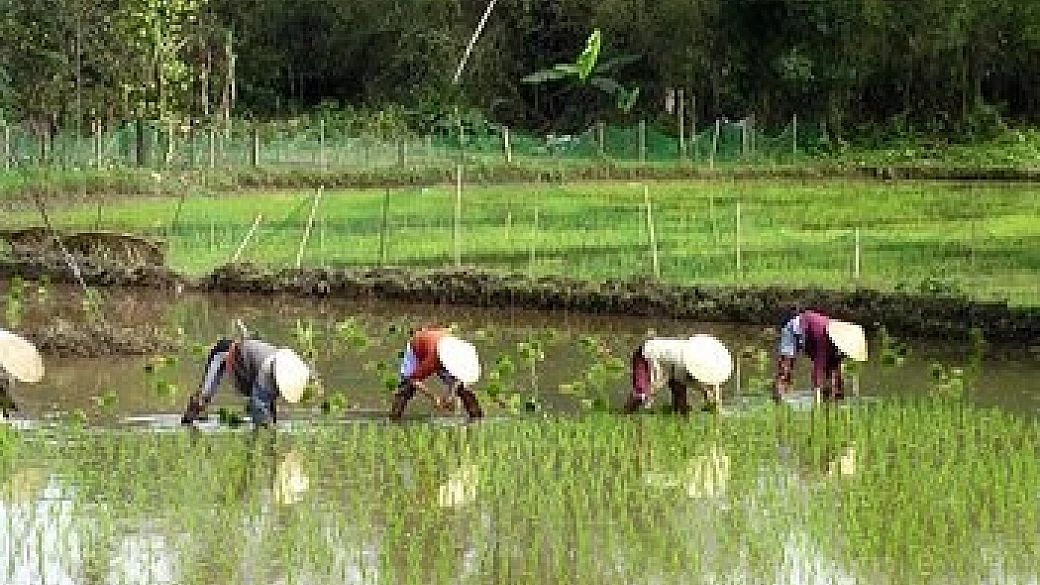 diario di viaggio tra la cambogia e il vietnam