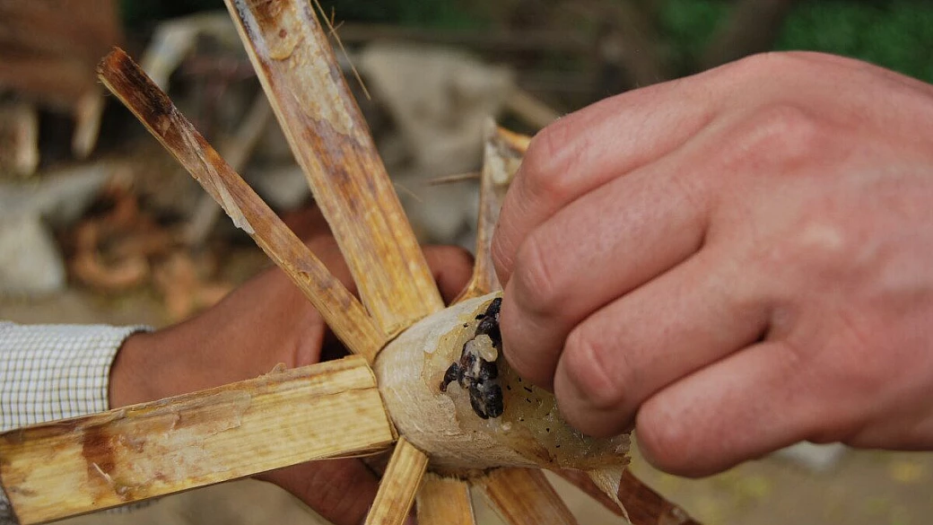 un piccolo sorriso khmer
