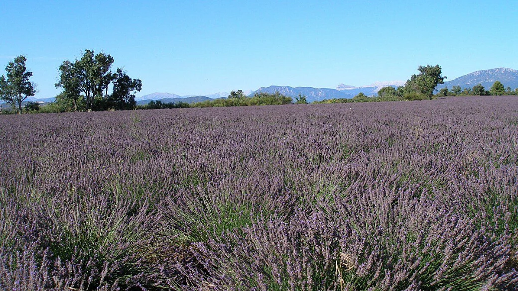 parigi in quattro giorni