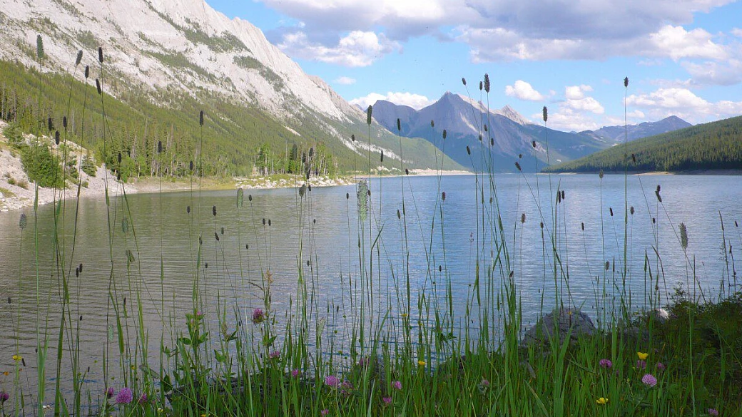 fantastico west-canada