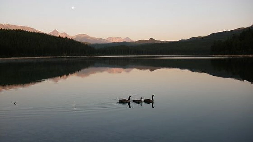 west canada in 20 giorni