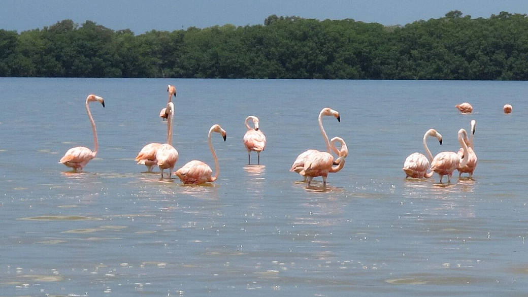messico tra natura, cultura e storia
