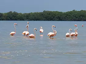 canyon-del-sumidero-awnsz