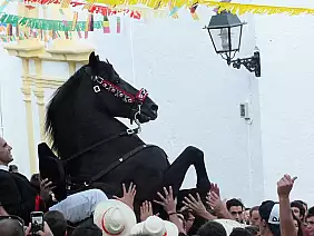 cap-de-cavalleria-12fhd