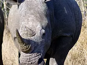 cape-town-mare-3d8jx