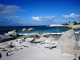 cape-town-mare-42zhj