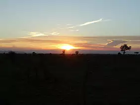 cape-town-mare-43eqs