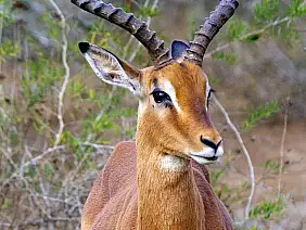 cape-town-mare-5vmdg