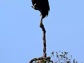 cape-town-mare-d5br9