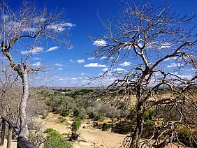 cape-town-mare-g55ka