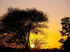 cape-town-mare-gr5zk