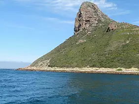 cape-town-mare-mrrf4