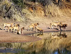 cape-town-mare-n3s3z