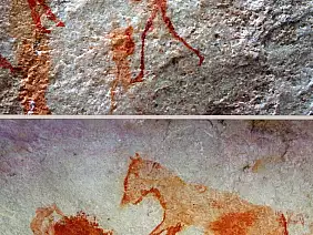 cape-town-mare-n9kqn