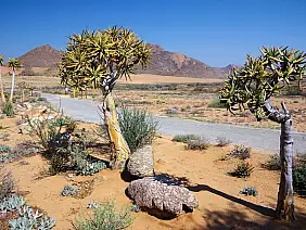 cape-town-mare-neyxy