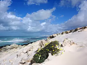 cape-town-mare-numm2