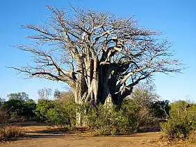 cape-town-mare-s14v2