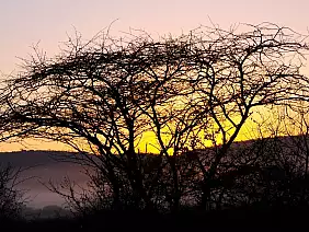 cape-town-mare-tg468