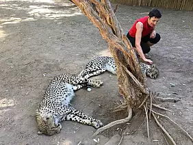 cape-town-mare-tuwdn