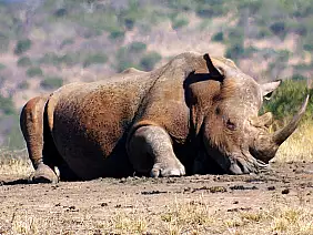 cape-town-mare-v7mmm