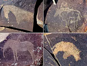 cape-town-mare-wkjzv