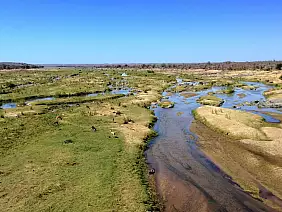 cape-town-mare-x1ucb