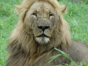 cape-town-mare-y66c2