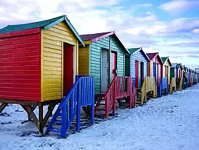 cape-town-mare-z9ukx