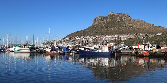 Sudafrica, una giornata esplorando la penisola del Capo