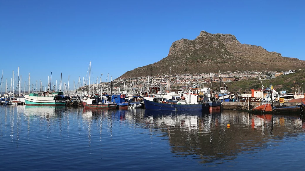sudafrica, una giornata esplorando la penisola del capo