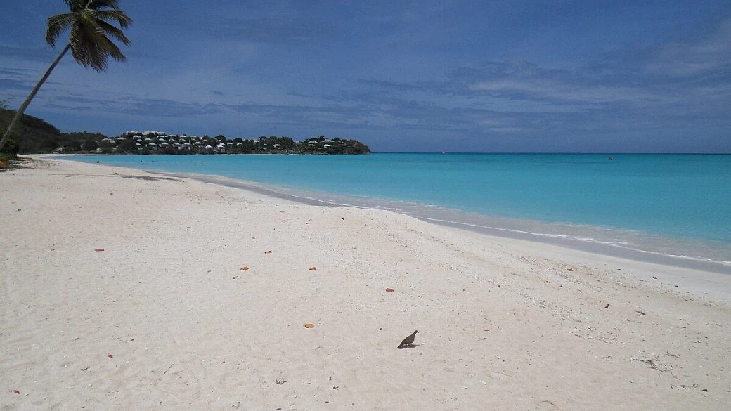 crociera nei caraibi