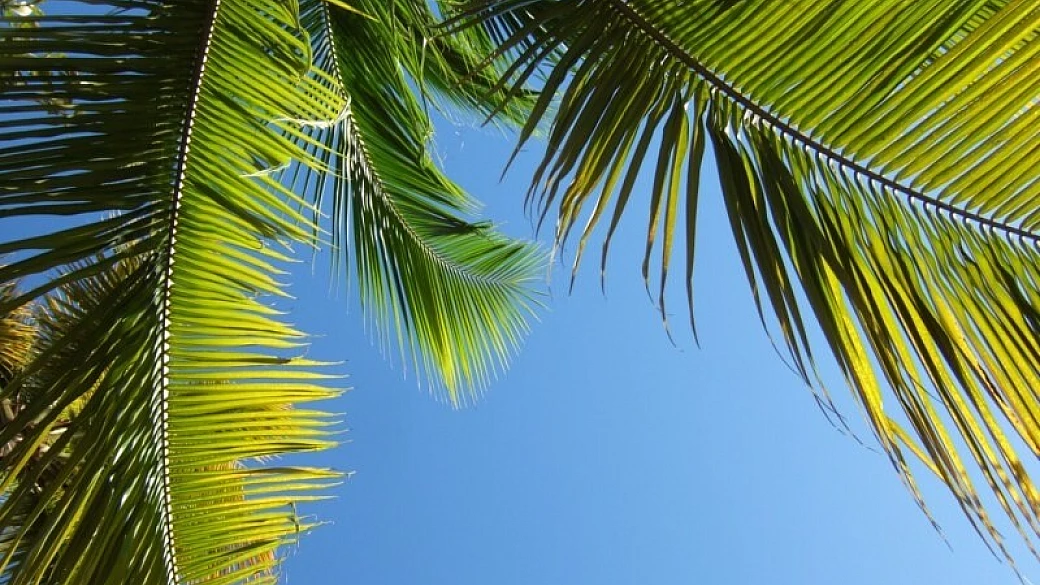 antille francesi - marie galante da sogno