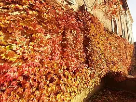 casale-monferrato-2cmyg