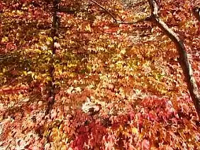 casale-monferrato-s9xbt