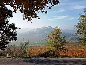 casale-monferrato-vfrg8