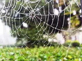 casale-monferrato-w8vw7