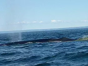 cascate-del-niagara-natura-j6b1v