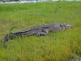 cascate-vittoria-sw4yw